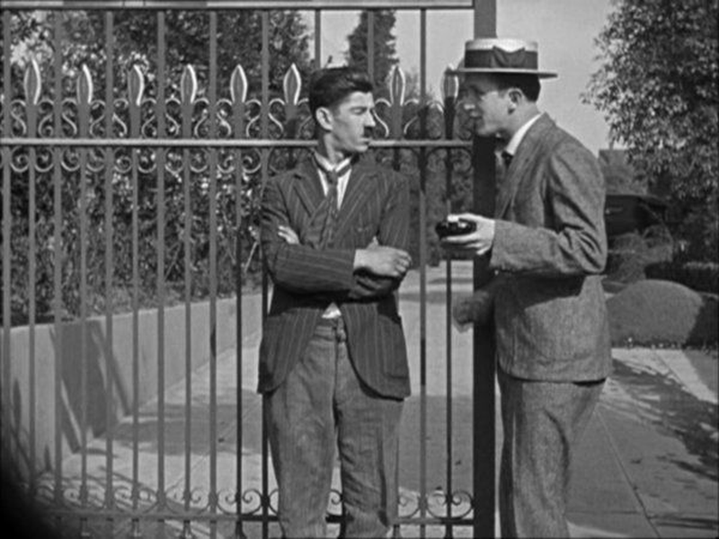 Foto 2 de Mata ou Cura