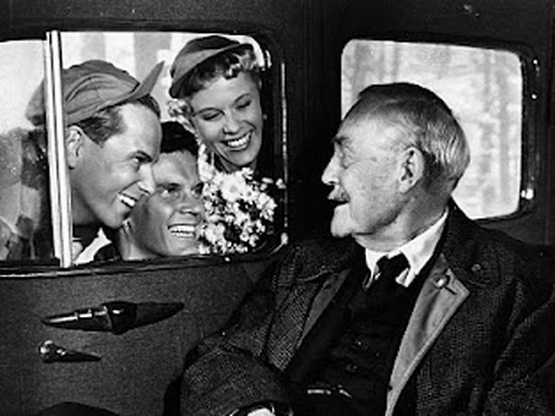 Foto 1 de Morangos Silvestres