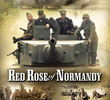 Red Rose of Normandy