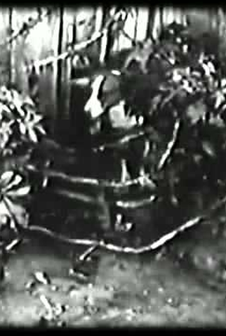 Poster 3 de Curta O maestro (1925)