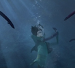 The Eel Effect
