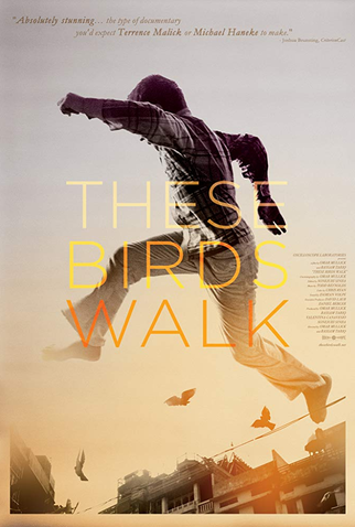 Poster 1 de Filme These Birds Walk (2012)