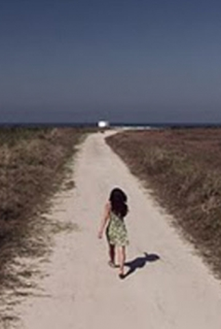 Poster 1 de Filme Sol na neblina (2009)