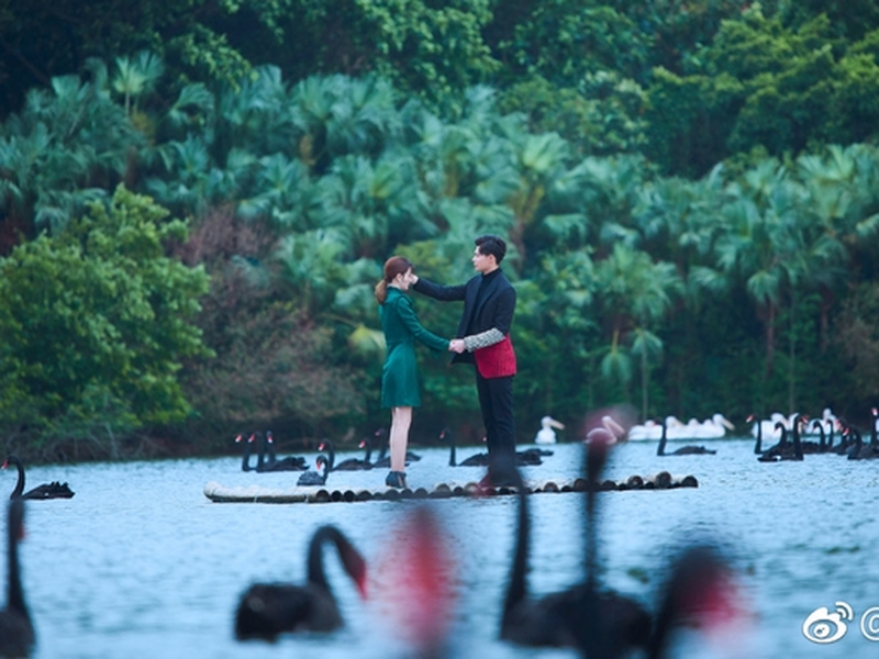 Foto 1 de Destiny's Love