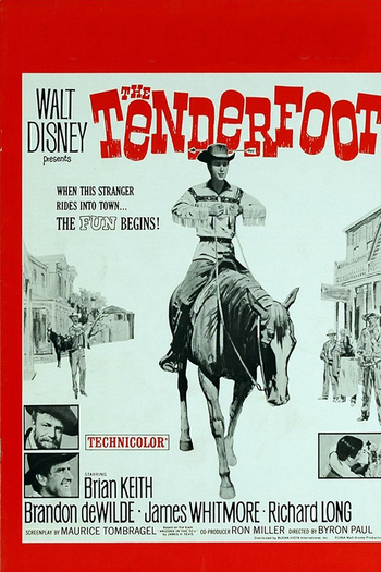 Poster de Filme The Tenderfoot (1964)