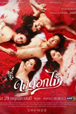 Dong Dok Mai (ดงดอกไม้)