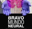 TEDTalks: Bravo mundo neural