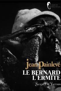 Le Bernard l'Ermite, crustacé marin - Poster / Capa / Cartaz - Oficial 1