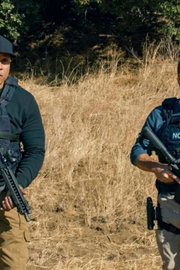 Poster de Episódio The Bear (2020)