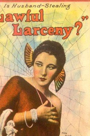 Poster de Filme Lawful Larceny (1923)