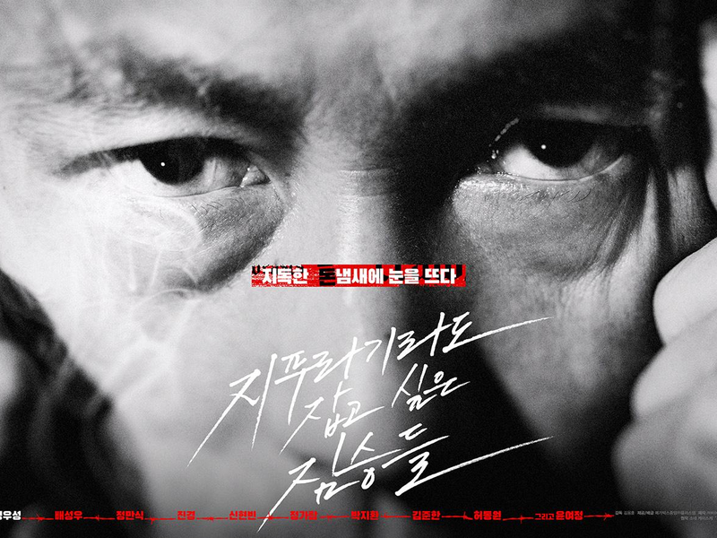 Foto 5 de Golpe de Sorte