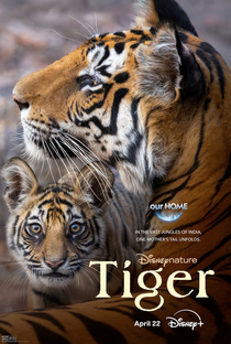 Tigre - Poster / Capa / Cartaz - Oficial 1