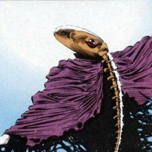 Foto de perfil de Thom