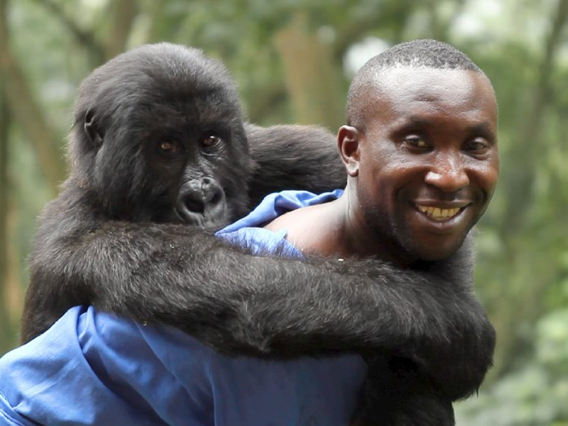 Foto 1 de Virunga