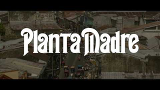 Trailer: Planta madre, de Gianfranco Quattrini - Trailer