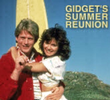 Gidget's summer reunion