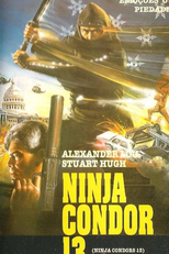 O Impiedoso Assassino (Ninjas, Condors 13)