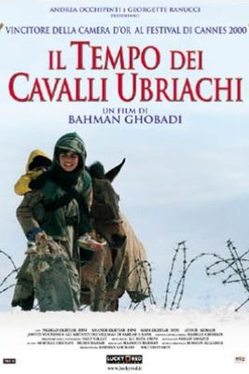  de Filme Tempo de Cavalos Bêbados (2000)