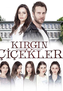 Kirgin Çiçekler (Kırgın Çiçekler)