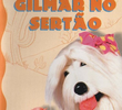 TV Colosso - Gilmar no Sertão
