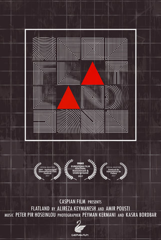 Poster 1 de Curta Flatland (2017)