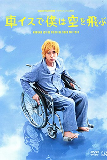 I Fly Through the Sky in a Wheelchair - Poster / Capa / Cartaz - Oficial 2
