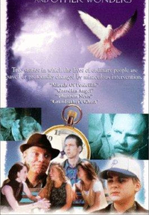 Milagres e Outros Fenômenos (Miracles & Other Wonders)