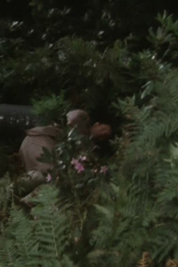 Poster de Episódio Part Three (1981)