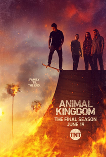 Animal Kingdom (6ª Temporada) - Poster / Capa / Cartaz - Oficial 1