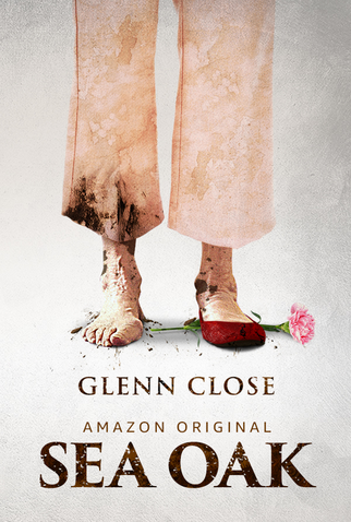 Poster 1 de Série Sea Oak (2017)