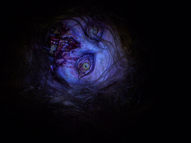 Foto 6 de Night Harvest