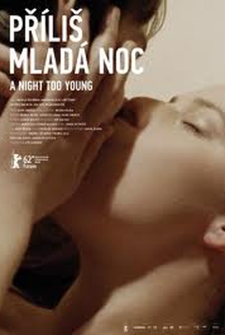 Poster 4 de Filme A Night Too Young (2012)
