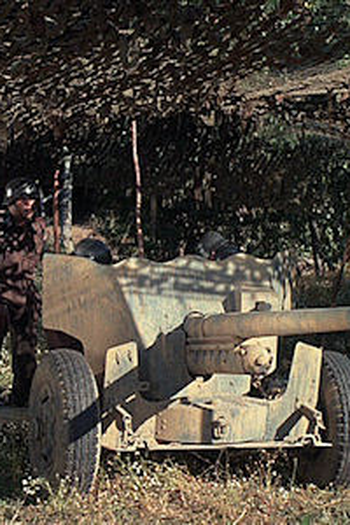Poster de Episódio The Gun (1966)