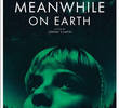 Meanwhile On Earth
