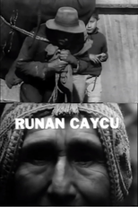 Runan Caycu (Runan Cycu)