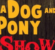 A Dog & Pony Show 