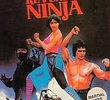 Revenge of Ninja