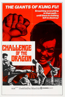 O Desafio do Dragão - Poster / Capa / Cartaz - Oficial 3