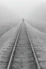 A Trip Across Misty Meadows (Kelionė ūkų lankomis)