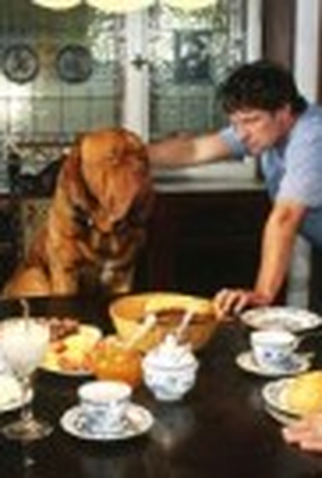 Poster 1 de Filme Meu Sócio de Herança (2002)