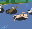 A River Runs Zoo It