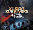 Street Survivors: A verdadeira história do acidente de avião do Lynyrd Skynyrd.