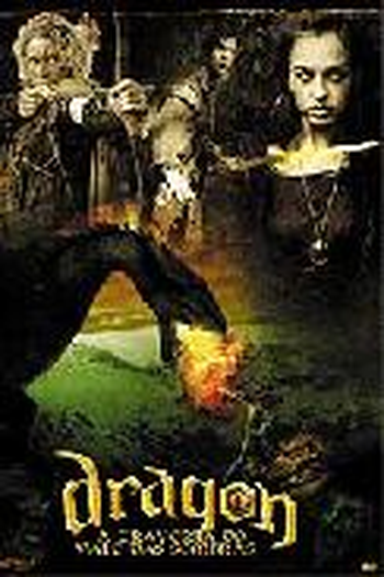 Poster de Filme A Travessia do Vale das Sombras (2006)