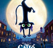 Gatto