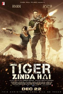 Tiger Zinda Hai - Poster / Capa / Cartaz - Oficial 3