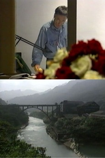 I Wish I Could Be Japanese (日本人になりたかった…)