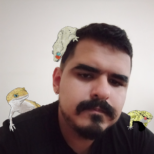 Foto de perfil de Alceu de Souza