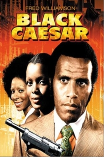  de Filme O Chefão de Nova York (1973)