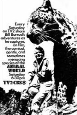 O Mundo Animal (The Animal World)