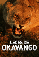 Leões de Okavango